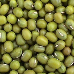 Green Mung Bean/Ndengu